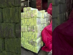 حفاضات شركة واحدة